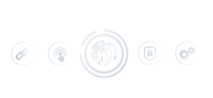 Digital Security Training Curriculum